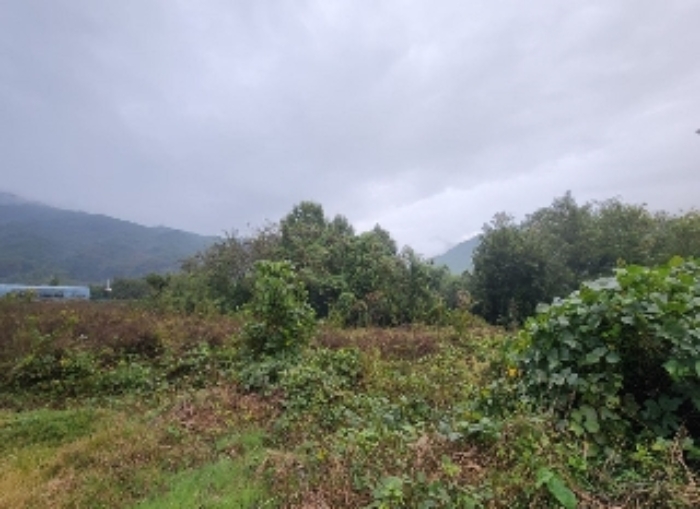 충청북도 영동군 추풍령면 죽전리 287 임야 경매 사진 2