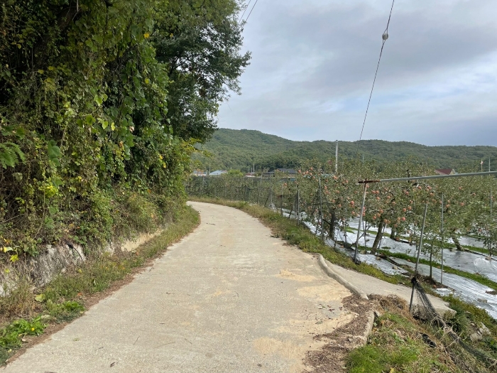 충청북도 영동군 추풍령면 죽전리 287 임야 경매 사진 6