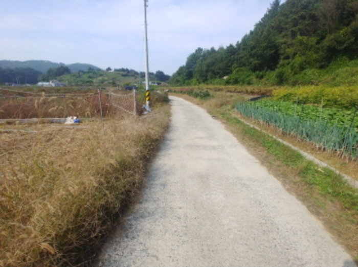 충청남도 금산군 부리면 관천리 214-7 전 경매 사진 1