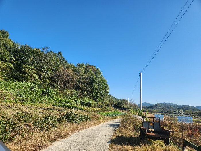 충청남도 금산군 부리면 관천리 214-7 전 경매 사진 11