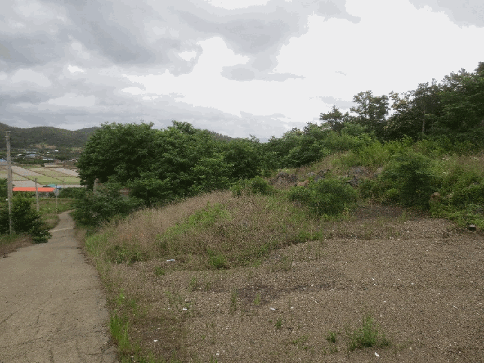 경상북도 청도군 이서면 가금리 산26 외 8필지 임야 경매 사진 14