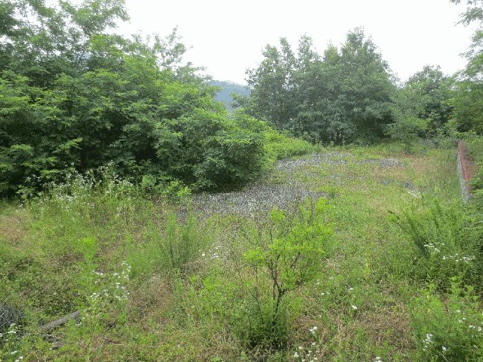 경상북도 청도군 이서면 가금리 산26 외 8필지 임야 경매 사진 20