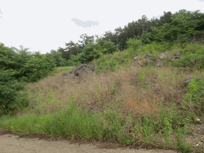 경상북도 청도군 이서면 가금리 산26 외 8필지 임야 경매 사진 22