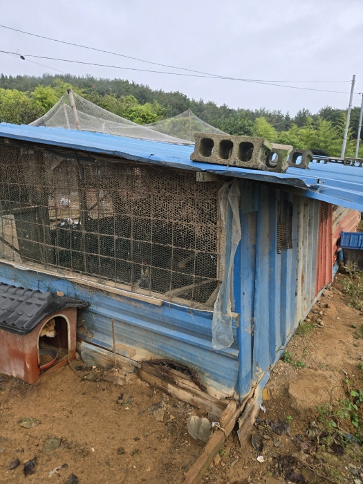 경상남도 사천시 서포면 다평리 651-2 외 2필지 단독주택 경매 사진 19