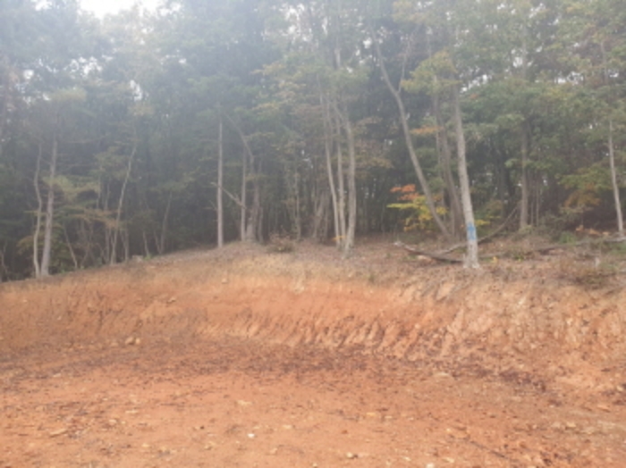 경기도 가평군 설악면 천안리 산72-21 외 3필지 업무시설 경매 사진 14