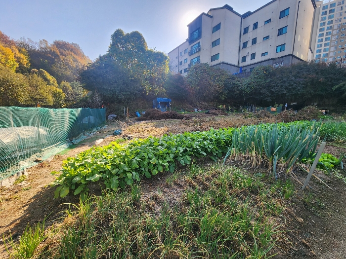 경기도 광주시 능평동 349-1 외 1필지 답 경매 사진 8