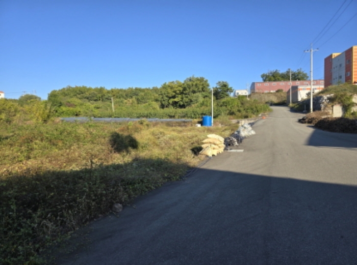 경상북도 영천시 채신동 산17-6 외 22필지 공장 경매 사진 30