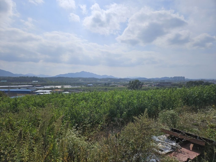 경상북도 영천시 범어동 632 외 5필지 과수원 경매 사진 8