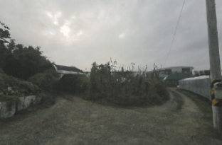 경상북도 김천시 다수동 390-1 답 경매 사진 24