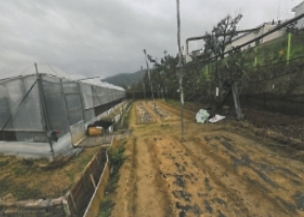 경상북도 김천시 다수동 390-1 답 경매 사진 30
