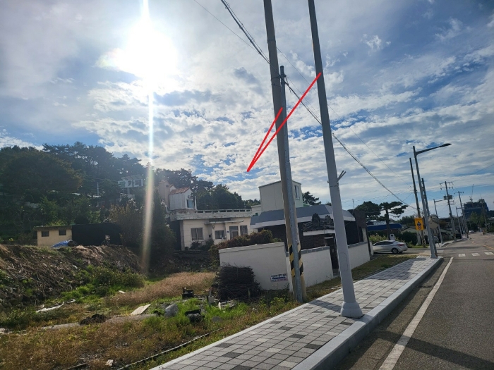 부산광역시 기장군 기장읍 석산리 산11-5 임야 경매 사진 12