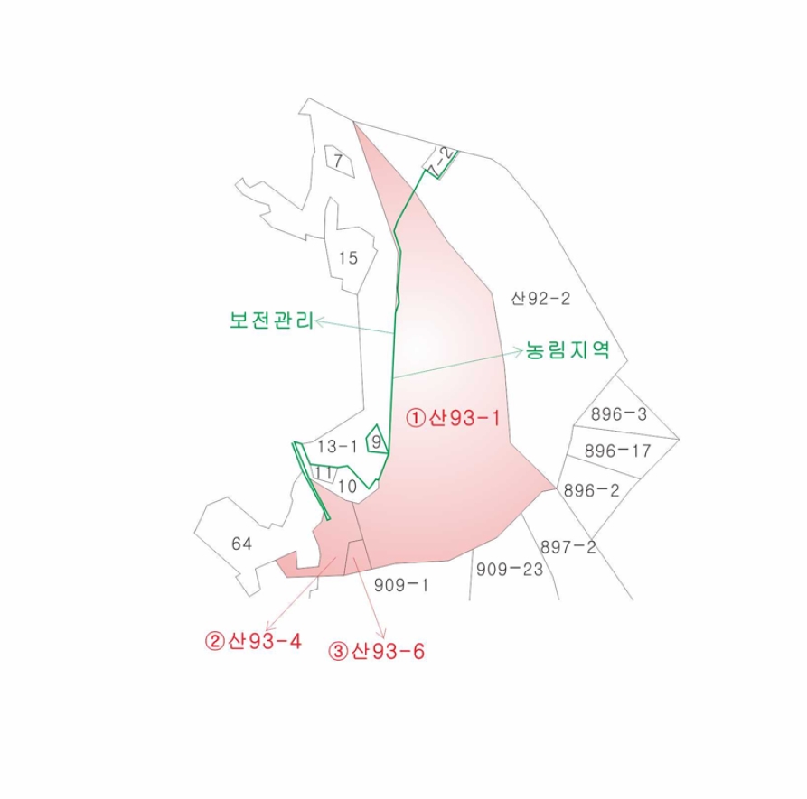 전라남도 무안군 삼향읍 임성리 산93-1 임야 경매 사진 6