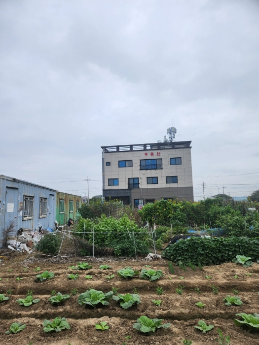 부산광역시 강서구 명지동 3463-13 대지 경매 사진 9
