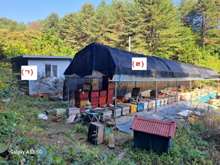 경기도 가평군 가평읍 마장리 8 외 1필지 답 경매 사진 13