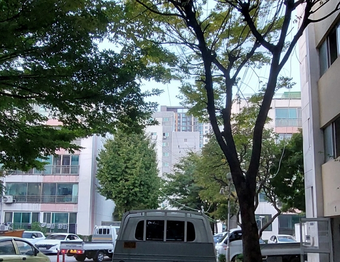 인천 미추홀구 주안동 1458, 3동 1층101호 (주안동,남광로얄아파트) 외 1필지 아파트 경매 사진 7