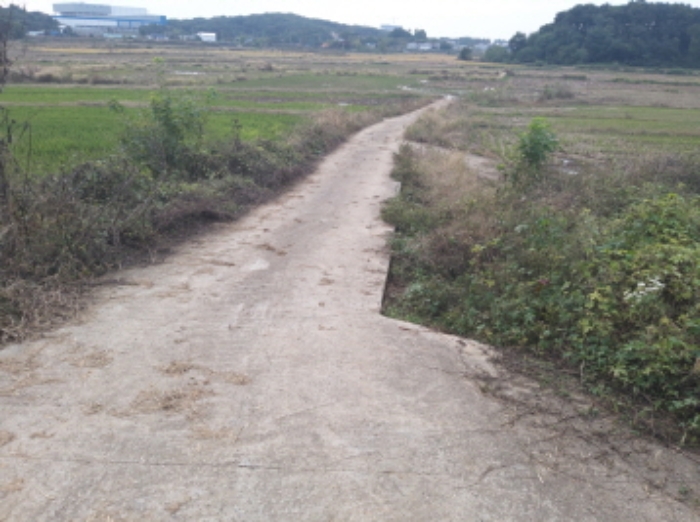 경기도 평택시 현덕면 운정리 397-1 답 경매 사진 13
