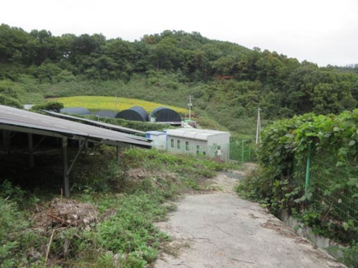경상북도 예천군 호명읍 원곡리 31-1 잡종지 경매 사진 21