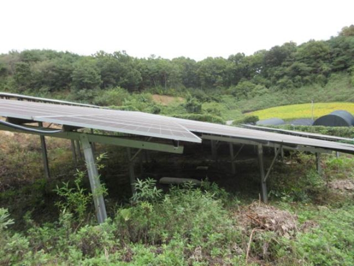 경상북도 예천군 호명읍 원곡리 31-1 잡종지 경매 사진 22