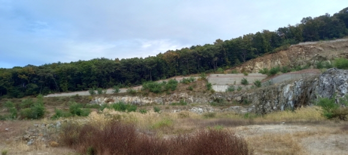 경기도 포천시 소흘읍 초가팔리 138-2 외 23필지 전 경매 사진 22