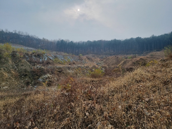 경기도 포천시 소흘읍 초가팔리 138-2 외 23필지 전 경매 사진 60