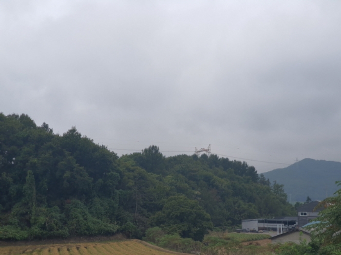 경기도 광주시 곤지암읍 삼합리 221-1 외 2필지 임야 경매 사진 2