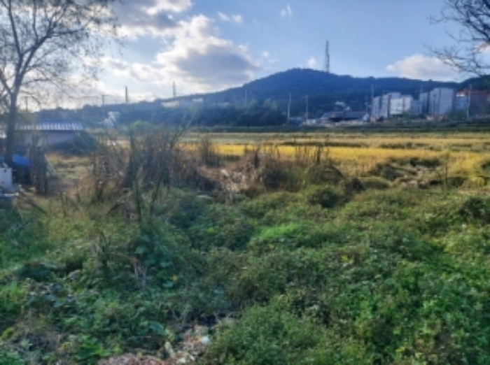 충청남도 당진시 송악읍 중흥리 233-7 답 경매 사진 27