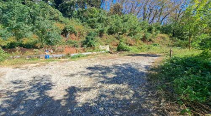 부산광역시 부산진구 당감동 786-61 묘지 경매 사진 14