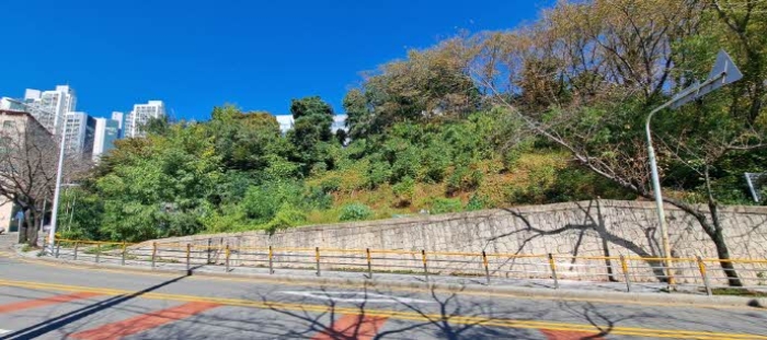 부산광역시 부산진구 당감동 786-61 묘지 경매 사진 17