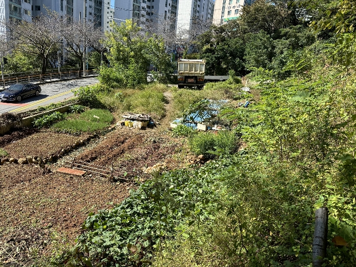 부산광역시 부산진구 당감동 786-61 묘지 경매 사진 19