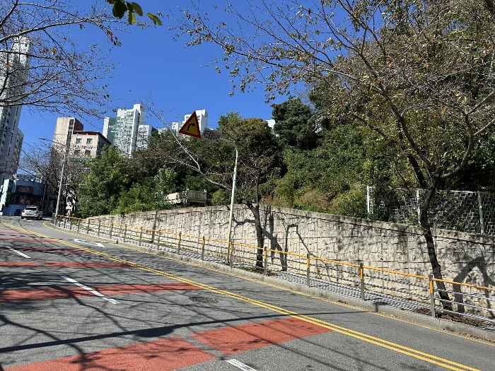 부산광역시 부산진구 당감동 786-61 묘지 경매 사진 20