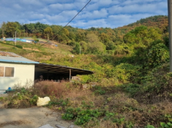 전라남도 여수시 소라면 복산리 1050 공장 경매 사진 123