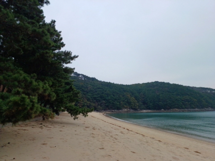 인천광역시 옹진군 덕적면 진리 산61 외 5필지 임야 경매 사진 1