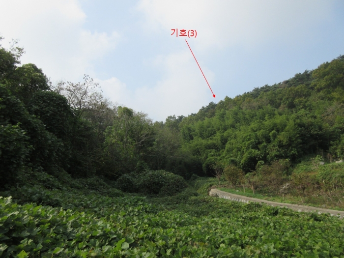 인천광역시 옹진군 덕적면 진리 산61 외 5필지 임야 경매 사진 11