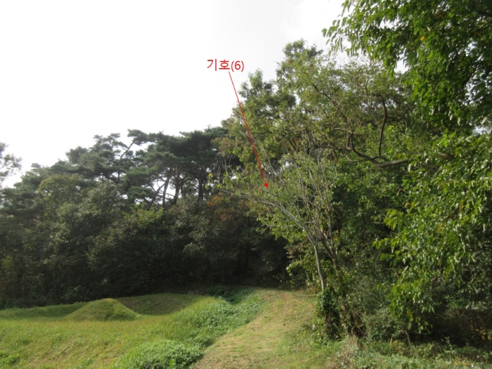 인천광역시 옹진군 덕적면 진리 산61 외 5필지 임야 경매 사진 14