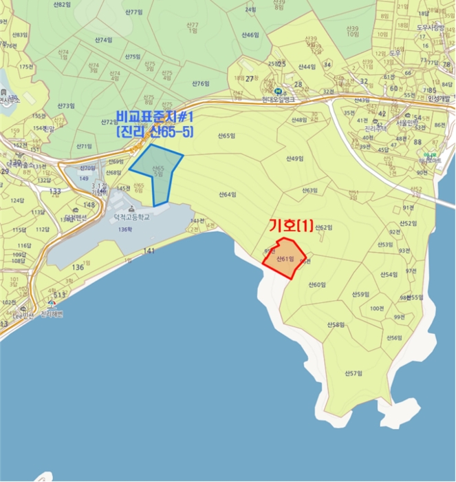 인천광역시 옹진군 덕적면 진리 산61 외 5필지 임야 경매 사진 21