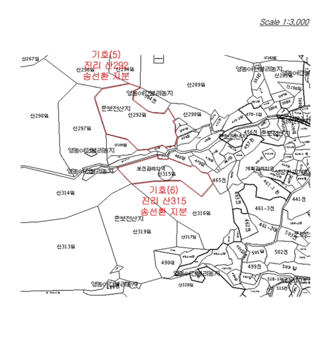 인천광역시 옹진군 덕적면 진리 산61 외 5필지 임야 경매 사진 28