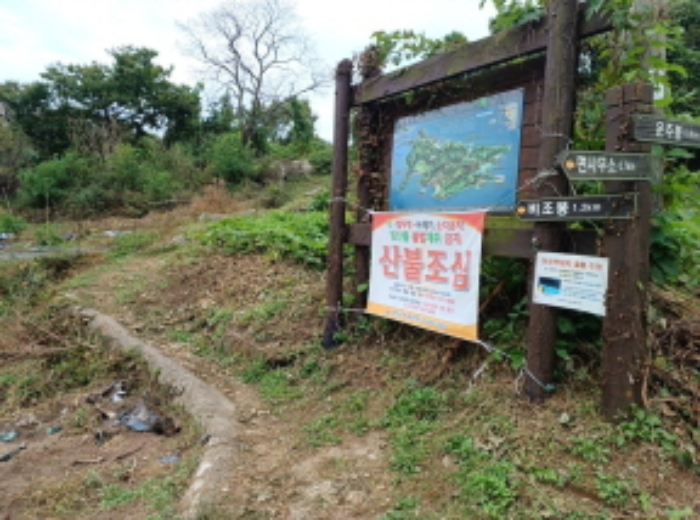 인천광역시 옹진군 덕적면 진리 산61 외 5필지 임야 경매 사진 8