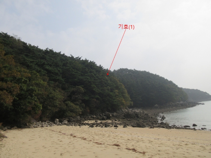 인천광역시 옹진군 덕적면 진리 산61 외 5필지 임야 경매 사진 9