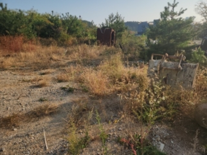 인천광역시 중구 운서동 3053-9 대지 경매 사진 13