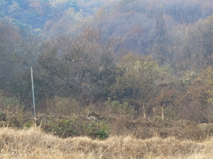 경상북도 성주군 용암면 용정리 422 답 경매 사진 1