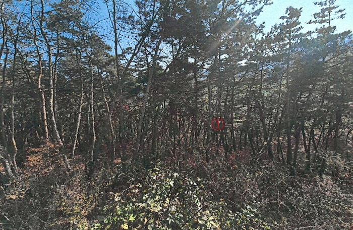 경상북도 성주군 용암면 용정리 422 답 경매 사진 2