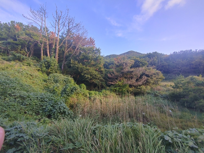 경상남도 거제시 남부면 저구리 381 답 경매 사진 3