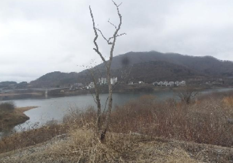 전북특별자치도 임실군 운암면 운종리 170-27 외 27필지 전 경매 사진 32
