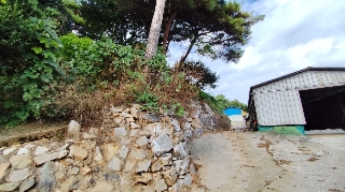 충청남도 보령시 천북면 신죽리 641-12 외 19필지 동물및식물관련시설 경매 사진 2