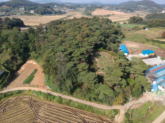 충청남도 보령시 천북면 신죽리 641-12 외 19필지 동물및식물관련시설 경매 사진 31