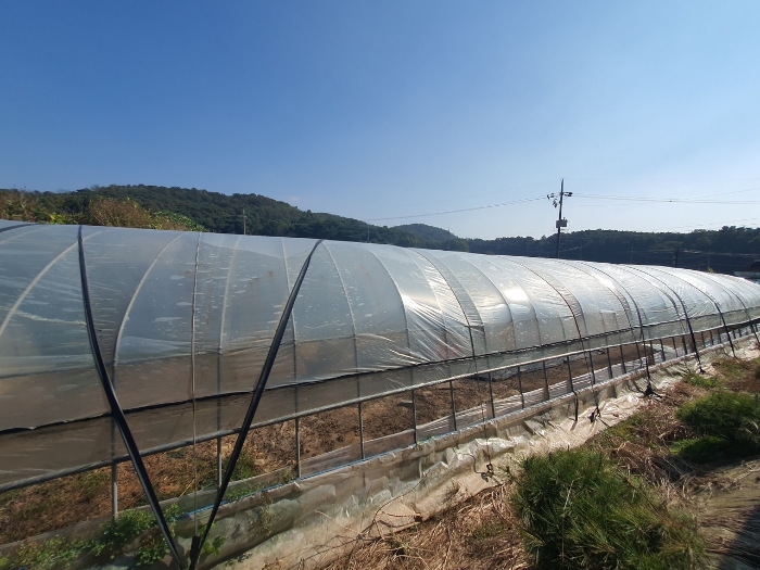 충청남도 보령시 천북면 신죽리 641-12 외 19필지 동물및식물관련시설 경매 사진 42