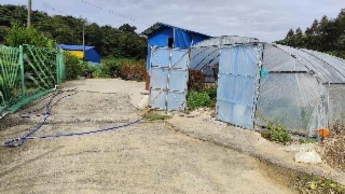 충청남도 보령시 천북면 신죽리 641-12 외 19필지 동물및식물관련시설 경매 사진 6