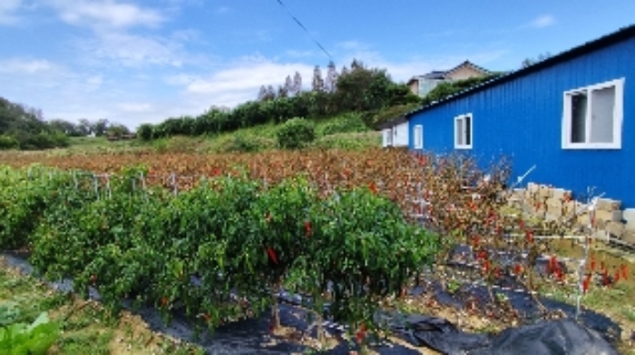 충청남도 보령시 천북면 신죽리 641-12 외 19필지 동물및식물관련시설 경매 사진 10