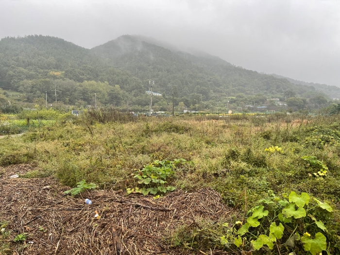 경상남도 창원시 마산합포구 구산면 난포리 319 전답 경매 사진 3