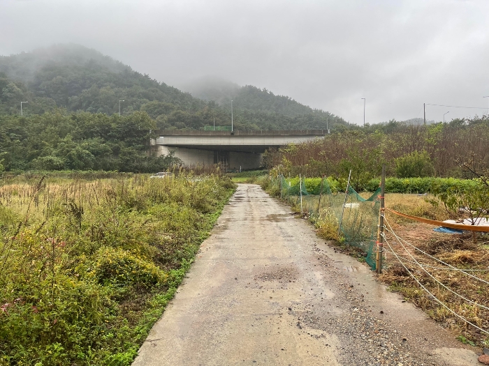 경상남도 창원시 마산합포구 구산면 난포리 319 전답 경매 사진 4